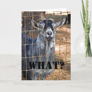 Carte Un autre anniversaire ?