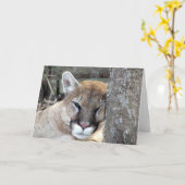 Carte Un autre cougar du lundi (Fleur jaune)