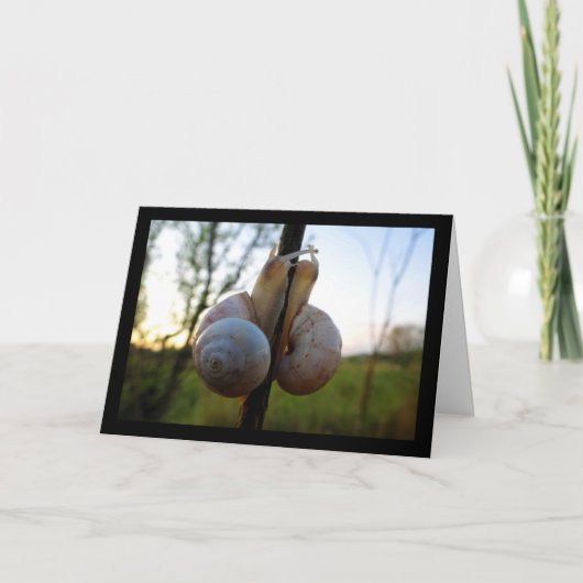 Carte Un Baiser Lent et Doux (Devant)