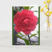 CARTE UN "BEAU" ROSE POUR "BEAU" YOU (Fleur jaune)