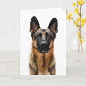 Carte Un berger allemand assis (Fleur jaune)
