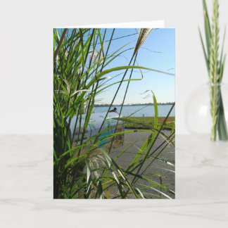 Carte Un bonjour gai