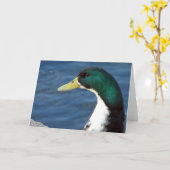 Carte Un Canard Dans Le Parc (Fleur jaune)