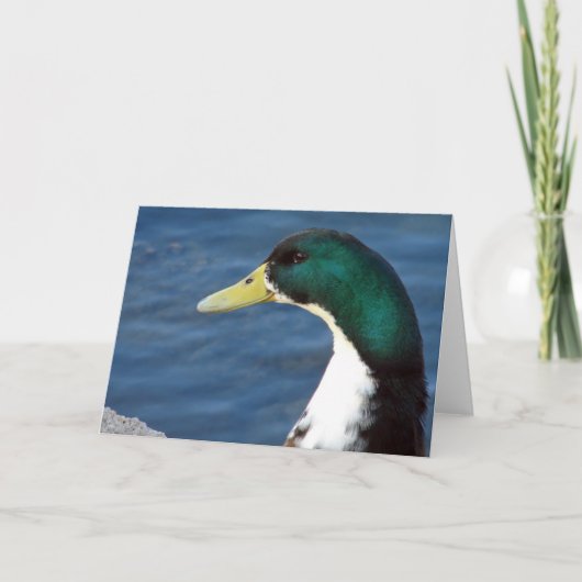 Carte Un Canard Dans Le Parc (Devant)