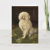 Carte Un caniche sur une moquette verte | George L. Harr (Devant)