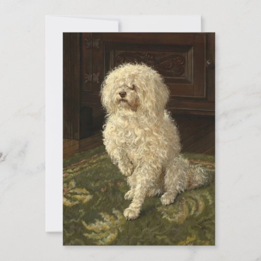 Carte Un caniche sur une moquette verte | George L. Harr (Devant)