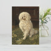 Carte Un caniche sur une moquette verte | George L. Harr (Debout devant)