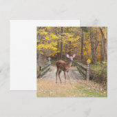 Carte Un cerf dans le parc (Devant / Derrière)