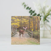 Carte Un cerf dans le parc (Debout devant)