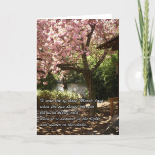 Carte Un cerisier inspirant en fleurs