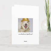 Carte Un certain lapin vous aime ! (Dos)