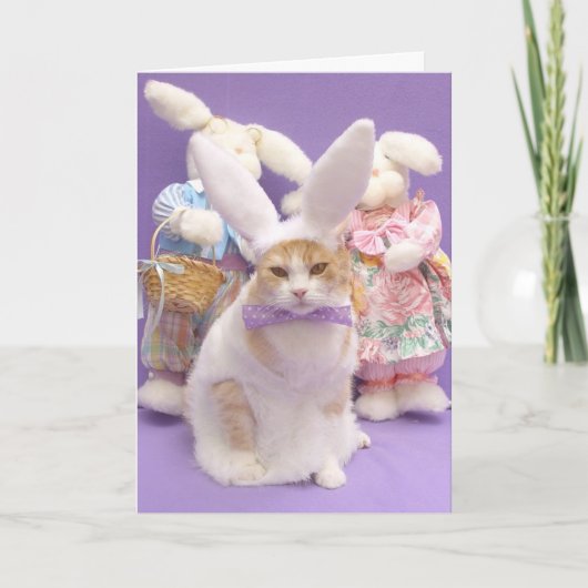 Carte Un certain lapin vous aime ! (Devant)