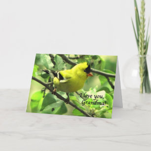 Carte Un chardonneret pour la grand-maman le jour de