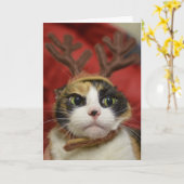 Carte Un chat en bois de rennes (Fleur jaune)