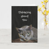 Carte Un chat gris qui pense à toi (Fleur jaune)