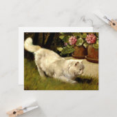 Carte Un chat perse blanc regarde une coccinelle (Devant/Arrière en situation)