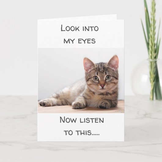 CARTE UN CHAT QUI A DES SENTIMENTS DIT "JOLI ANNIVERSAIR (Devant)