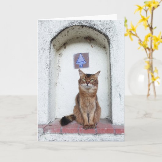Carte Un chat somalien dans un monde d'alcools (Fleur jaune)