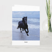 Carte Un cheval sauvage et libre (Dos)