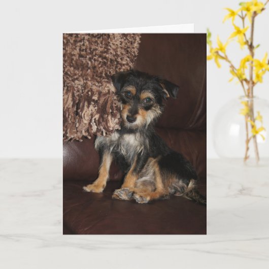 Carte Un chien adorable et mignon qui pense à vous (Fleur jaune)