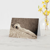 Carte Un chien fatigué (Fleur jaune)