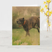 Carte Un chien heureux en toutes occasions (Fleur jaune)