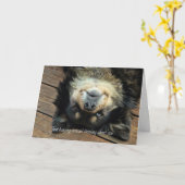 Carte Un chien mignon à l'envers en bas de la pensée de  (Fleur jaune)