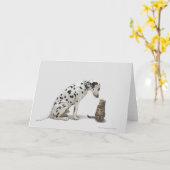 Carte Un chien regarde un chat (Fleur jaune)