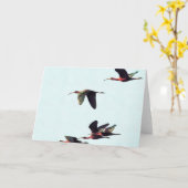 Carte Un coin d'imbéciles en vol (Fleur jaune)