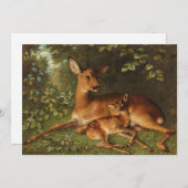 Carte Un Doe avec la face | Carl Schweninger, Jr. (Devant / Derrière)