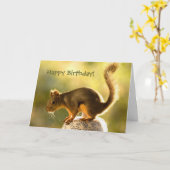 Carte Un écureuil mignon sur un bocal à biscuits (Fleur jaune)