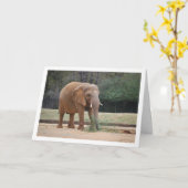 Carte Un éléphant africain dans le parc (Fleur jaune)