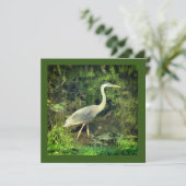 Carte Un héron bleu (Debout devant)