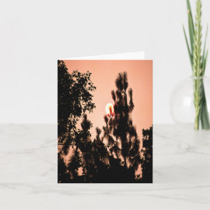 Carte Un incendie dans la vallée de l'Inde.....