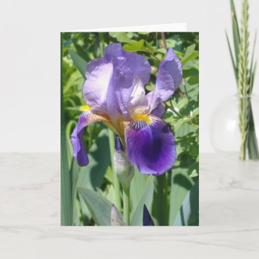 Carte un iris parfait simple (Devant)