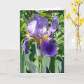 Carte un iris parfait simple (Fleur jaune)