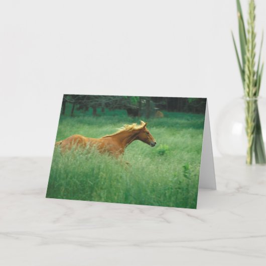 Carte Un Jeune Stallion Traverse Le Milieu (Devant)