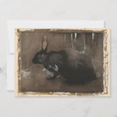 Carte Un Lapin Noir | Joseph Crawhall (Devant)