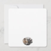 Carte Un Lapin T'Aime (Dos)