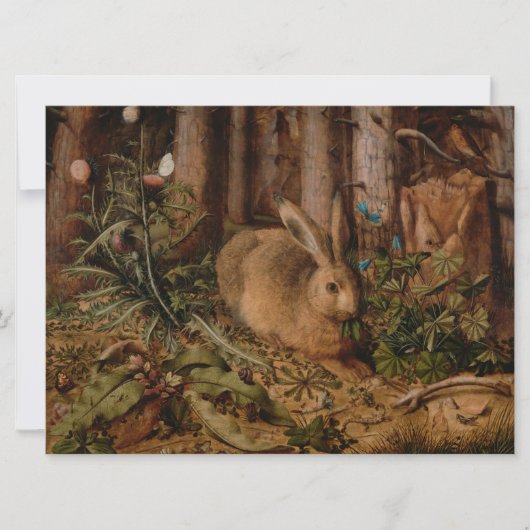 Carte Un lièvre dans la forêt (par Hans Hoffmann) (Devant)