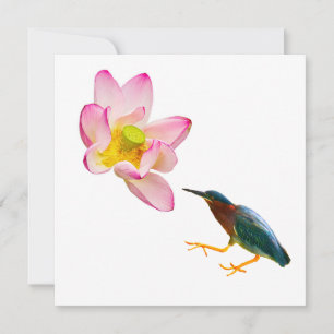 Carte Un lotus à l'eau et un héron