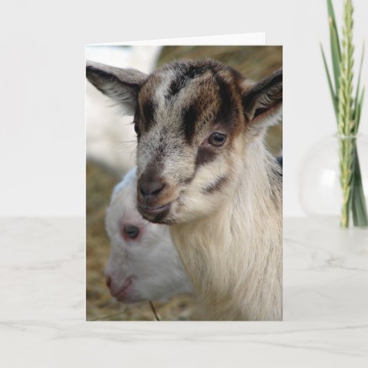 Carte Un mignon petit Billy (Devant)