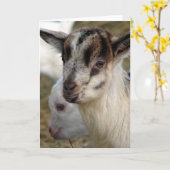 Carte Un mignon petit Billy (Fleur jaune)