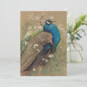 Carte Un paon et des marguerites | Edwin John Alexander (Debout devant)