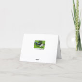 Carte "Un petit oiseau m'a dit ..." Paons (Dos)