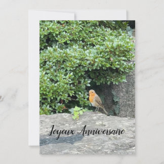 Carte Un petit rouge-gorge