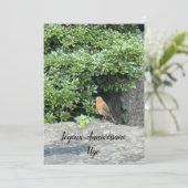 Carte Un petit rouge-gorge (Debout devant)