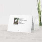 Carte Un peu de pêche au héron bleu (Dos)