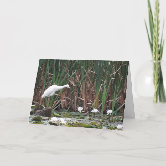 Carte Un peu de pêche au héron bleu (Devant)