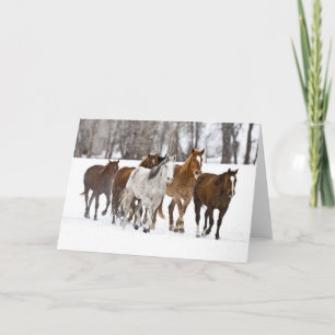 Carte Un Pittoresque hivernal de chevaux de course